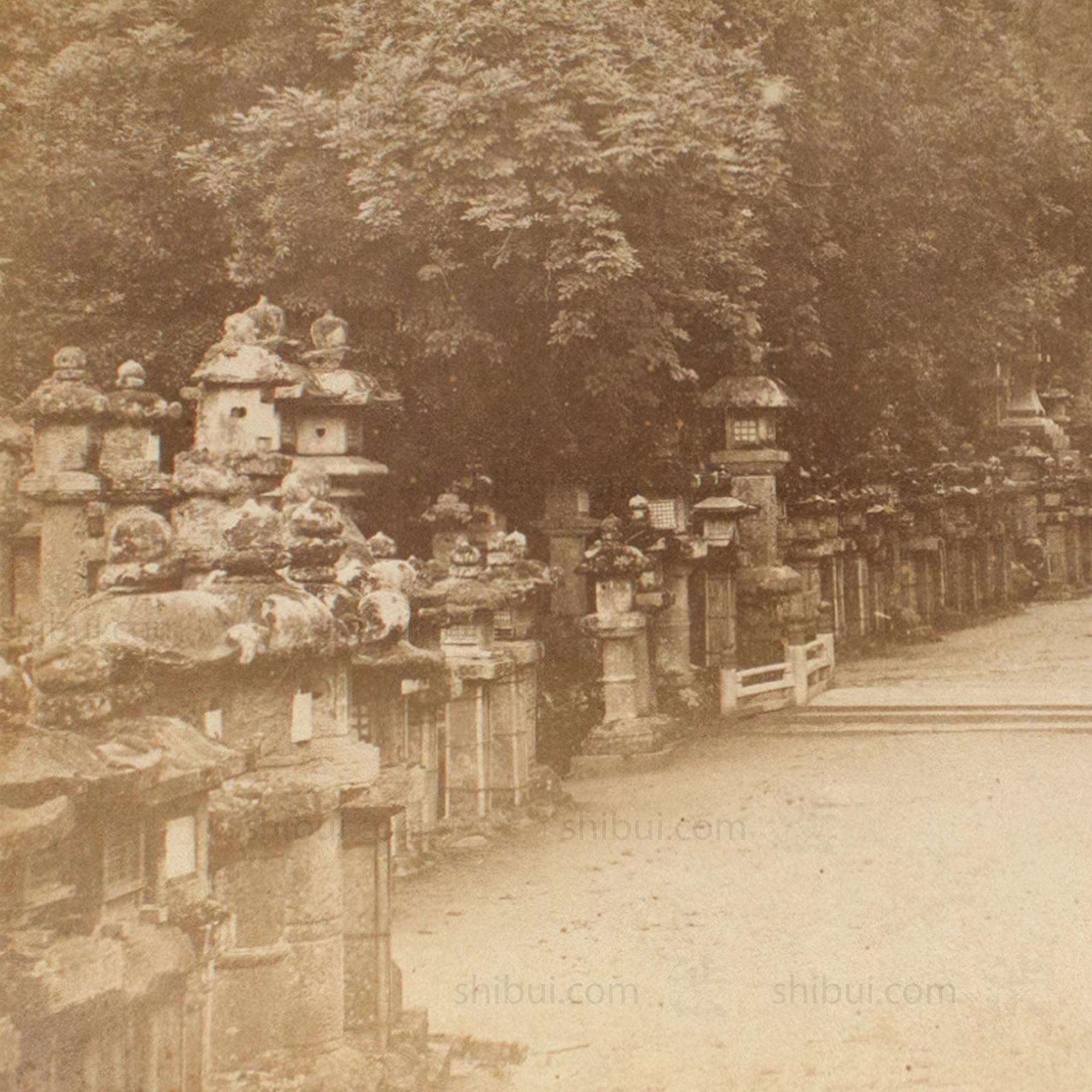 Hand Tinted Antique Japanese Albumen Photo of Kasuga Park