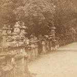 Hand Tinted Antique Japanese Albumen Photo of Kasuga Park