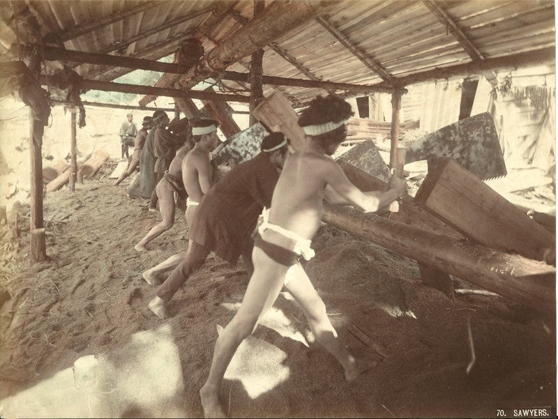 Maebiki Oga - Japanese Saw