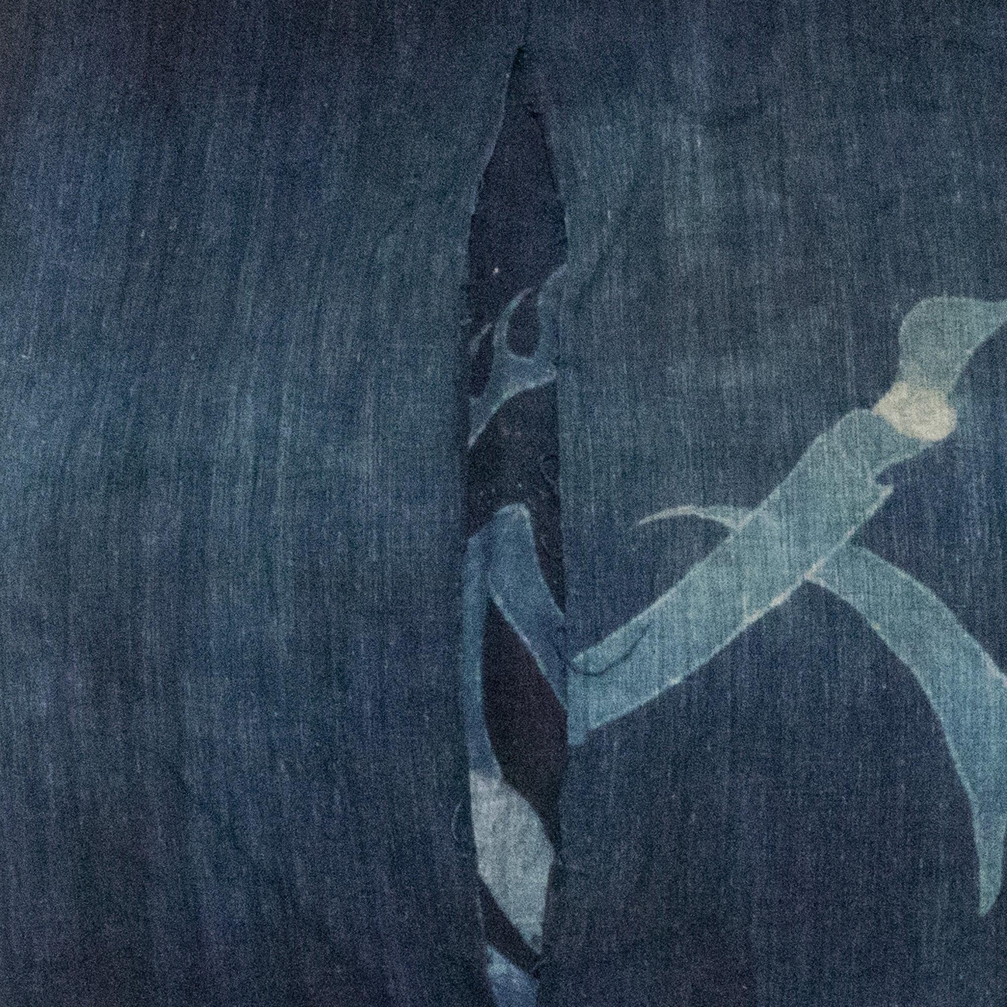 Japanese Tsutsugaki Indigo Futonji with Noshi Good luck Motif.
