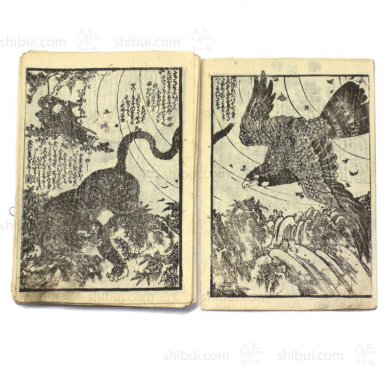 Pair of E-hon Dated 1851-1853