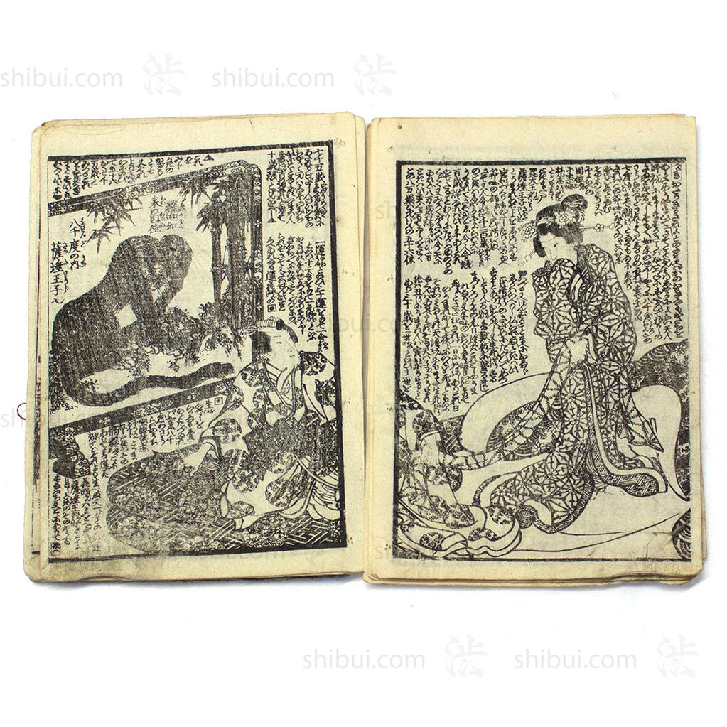 Pair of E-hon Dated 1851-1853