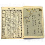 Pair of E-hon Dated 1851-1853