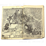Pair of E-hon Dated 1851-1853