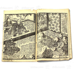 Pair of E-hon Dated 1851-1853