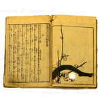 Wood Block Printed 19th Century Shunga Book