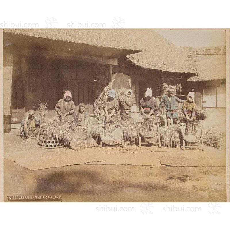 Hand-tinted Meiji Era Photograph | Rice Threshers | Japanese Antique Photography | Albumen Photography | Japanese Decor