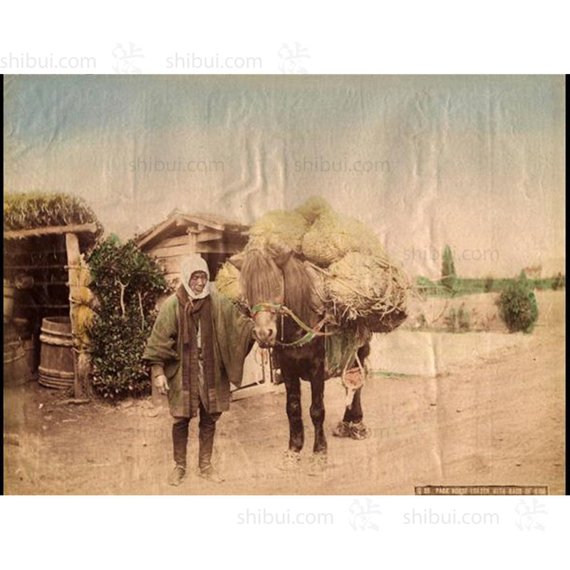 Hand-tinted Meiji Era Photograph | Farmer and Horse | Japanese Antique Photography | Albumen Photography | Japanese Decor