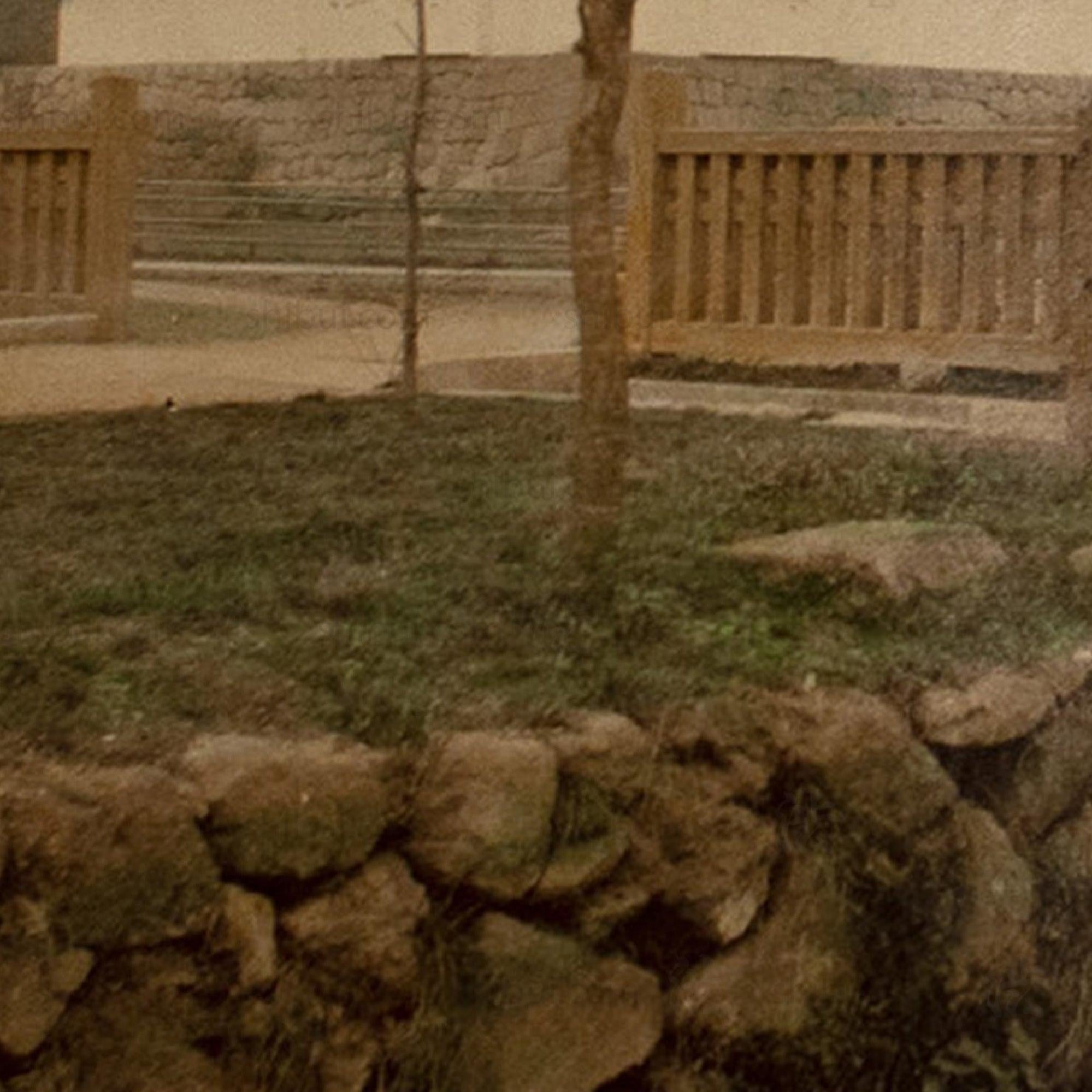 Hand Tinted Antique Japanese Albumen Photo of Nijo Castle