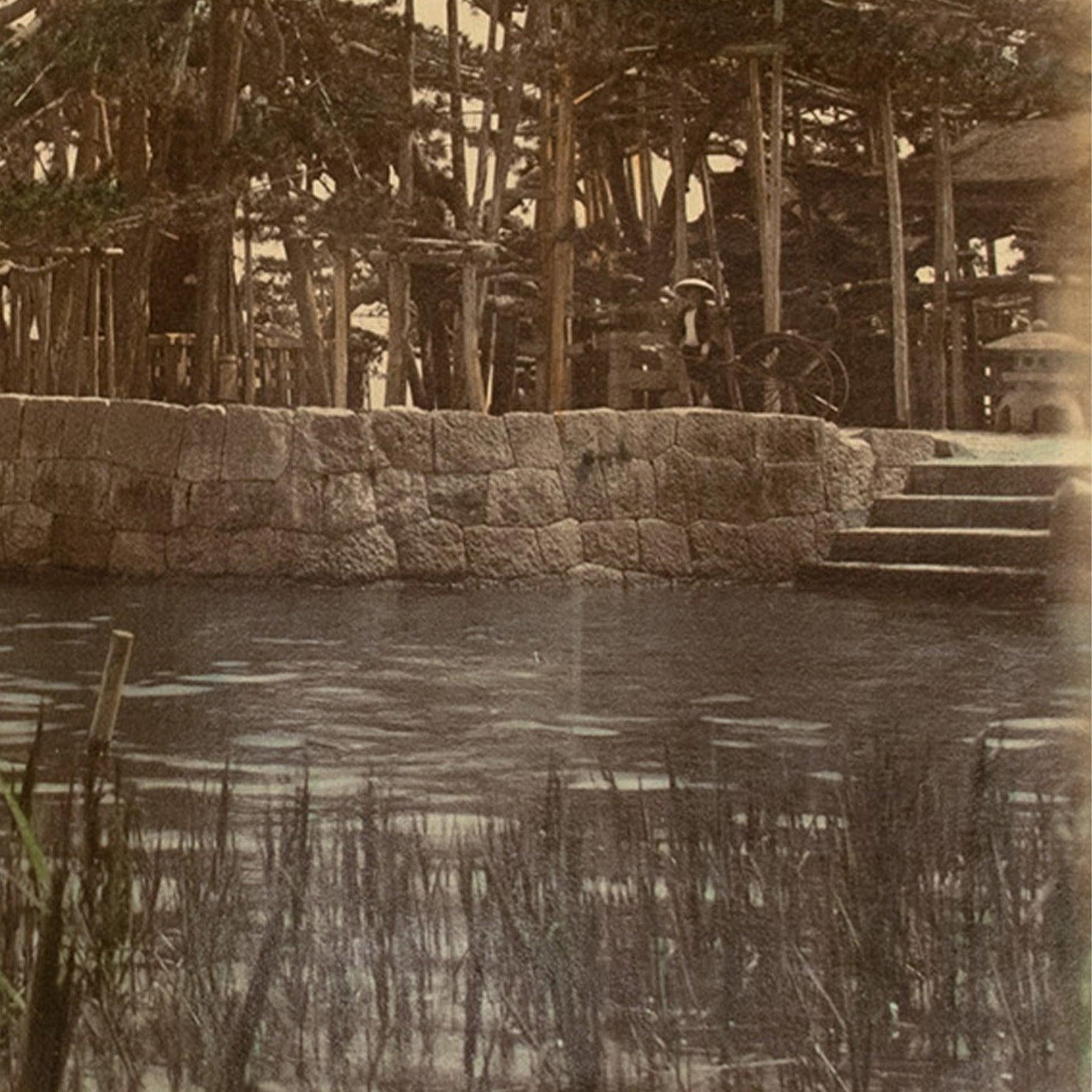 Karasaki Pine Tree |  Japanese Antique Hand Tinted Albumen Photograph