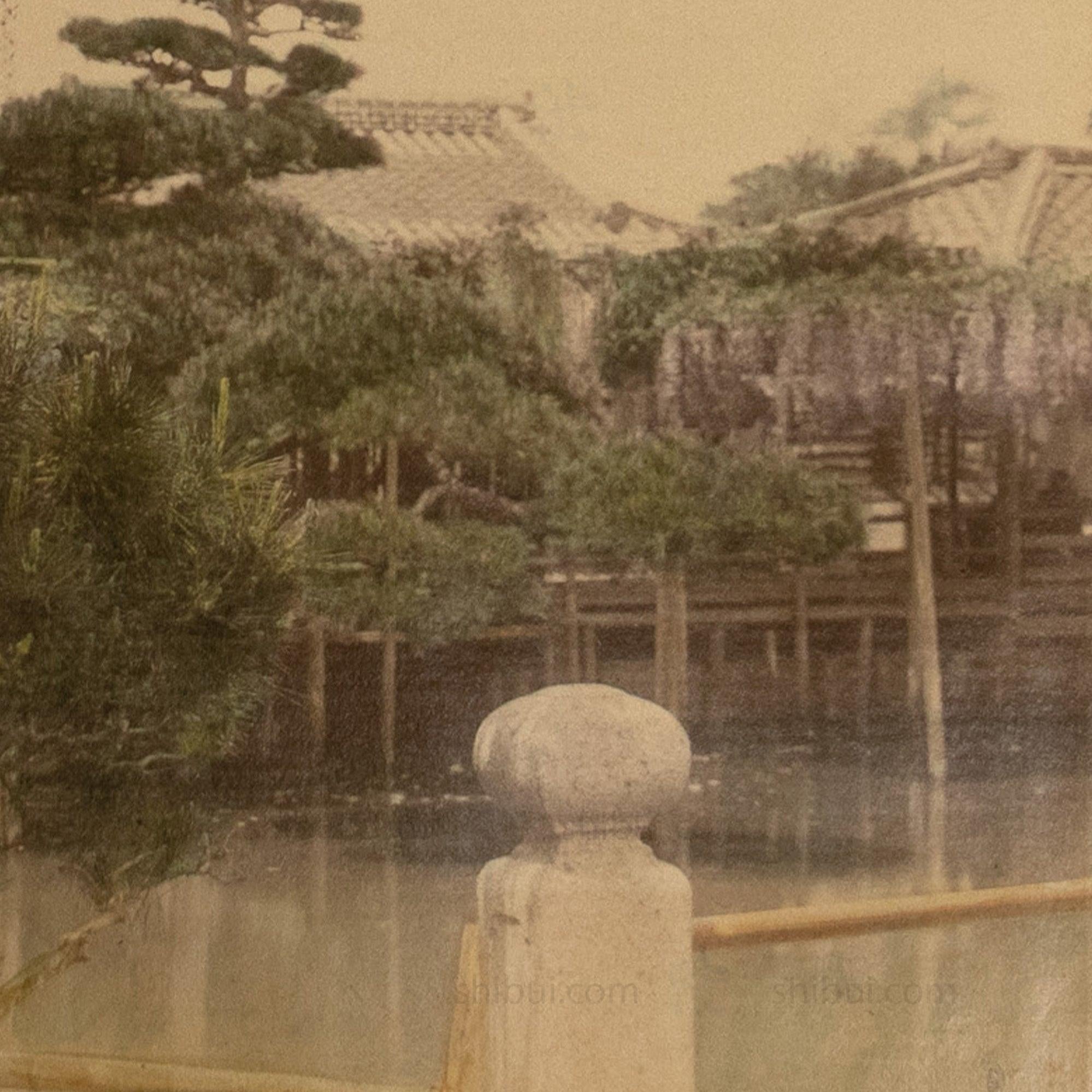 Japanese Antique Hand Tinted Albumen Photo of Wistera