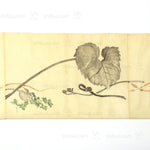 Antique Vegetable Hand Scroll Japanese