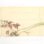 Antique Vegetable Hand Scroll Japanese