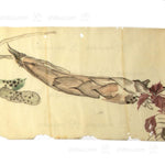Antique Vegetable Hand Scroll Japanese