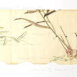 Antique Vegetable Hand Scroll Japanese