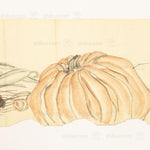 Antique Vegetable Hand Scroll Japanese