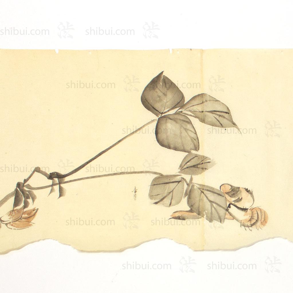 Antique Vegetable Hand Scroll Japanese