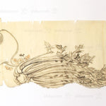 Antique Vegetable Hand Scroll Japanese