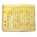 Shunga Golden Buddha