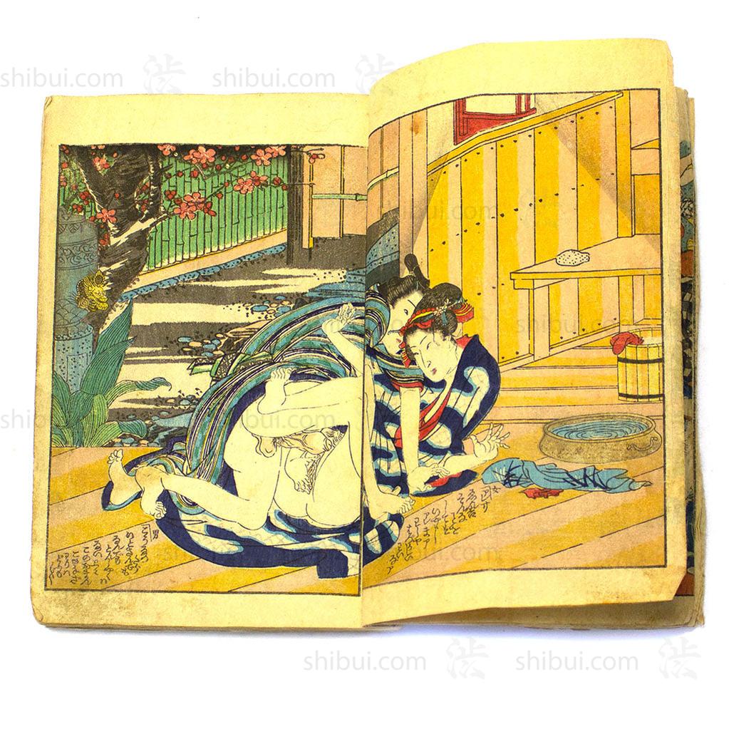 Shunga Golden Buddha