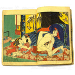 Shunga Golden Buddha