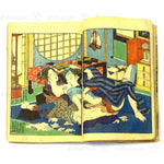 Shunga Golden Buddha