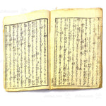 Shunga Golden Buddha