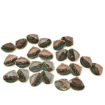 48 Piece Shell Game Set