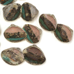 48 Piece Shell Game Set