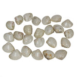 48 Piece Shell Game Set