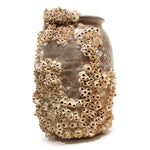 Takotsubo | Barnacle Encrusted Antique Japanese Pot