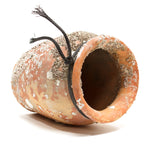 Takotsubo | Barnacle Crusted Japanese Pot