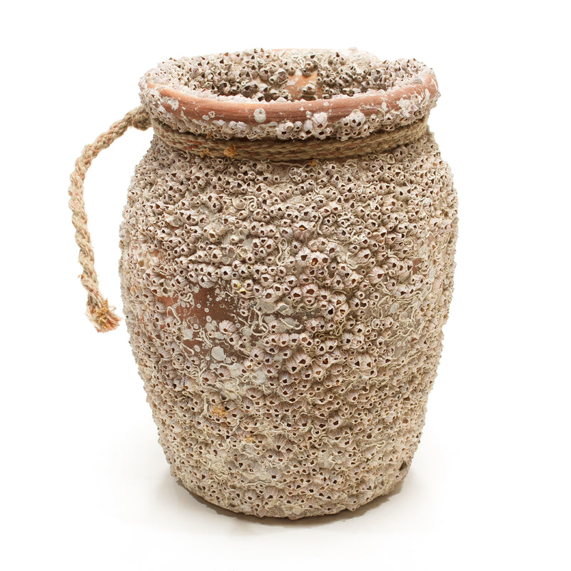 Takotsubo | Barnacle Crusted Vintage Japanese Pot