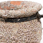 Takotsubo | Barnacle Encrusted Antique Japanese Pot