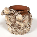 Takotsubo | Barnacle Encrusted Antique Japanese Pot