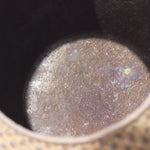 Hailstone Japanese Tea Ceremony Kama - Kettle