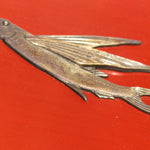 Bronze Flying Fish Box