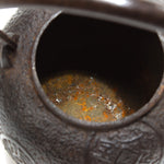 Tetsubin | Japanese Iron Kettle with Coin Motif