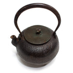 Tetsubin | Japanese Iron Kettle with Coin Motif