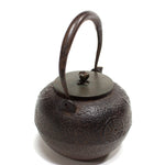 Tetsubin | Japanese Iron Kettle with Coin Motif