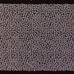 Hand Cut Edo Komon Floral Katagami | Japanese Lacquered Paper Stencil