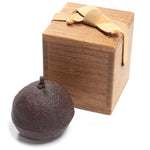 Lacquered Citrus Peel Kogo | Japanese Incense Storage Container