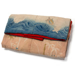 Meiji Era Child's Kimono