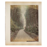 Hand Tinted Albumen of Kiyomizu Bamboo Grove | Antique Japanese Photograph