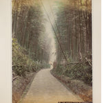 Hand Tinted Albumen of Kiyomizu Bamboo Grove | Antique Japanese Photograph