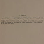 Hand Tinted Albumen of a Geisha | Antique Japanese Photograph