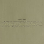 Hand Tinted Albumen of Sumo Wrestlers | Antique Japanese Photograph