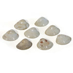 Kai-Awase Unmatched Painted Shells from Memory Game