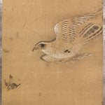 Pair of Mounted Hawk Paintings