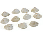 Kai-Awase | Unmatched Painted Shells from Memory Game